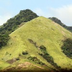 CCGs (or why campaigning to save the local hospitals is so hard...) CCGs (or why campaigning to save the local hospitals is so hard...)