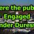Part 3 - Were the public Engaged Under Duress?